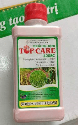 Top care