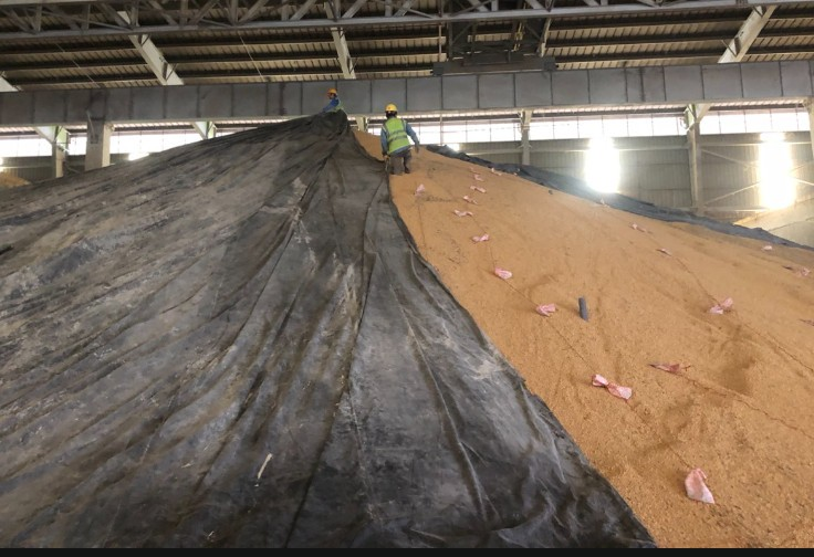 Dịch Vụ Khử Trùng Hàng Hóa Lưu Trữ Trong Kho 3 image033